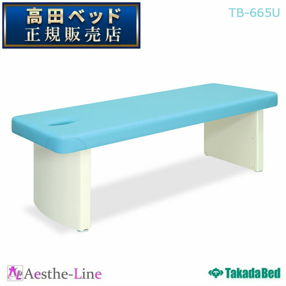 高田ベッド 有孔ダイナFX TB-665U 治療用ベッド 診察台 高田ベッド製作所 【高田ベッド マッサージベッド エステ 医療 整体 施術用ベッド 業務用】