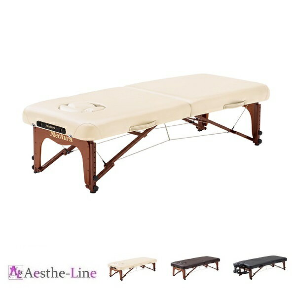 プロフェッショナルハードフォーム 脚部：ウォルナット F14-0041 木製 折り畳みベッド　枕3点セット付き