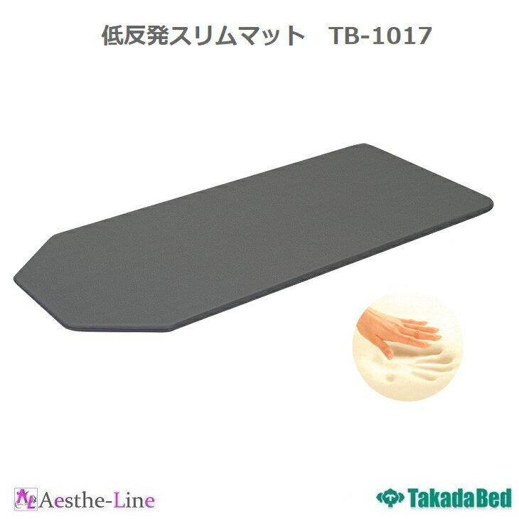 【ポイント5倍】【高田ベッド マット 】 低反発スリムマット　TB-1017