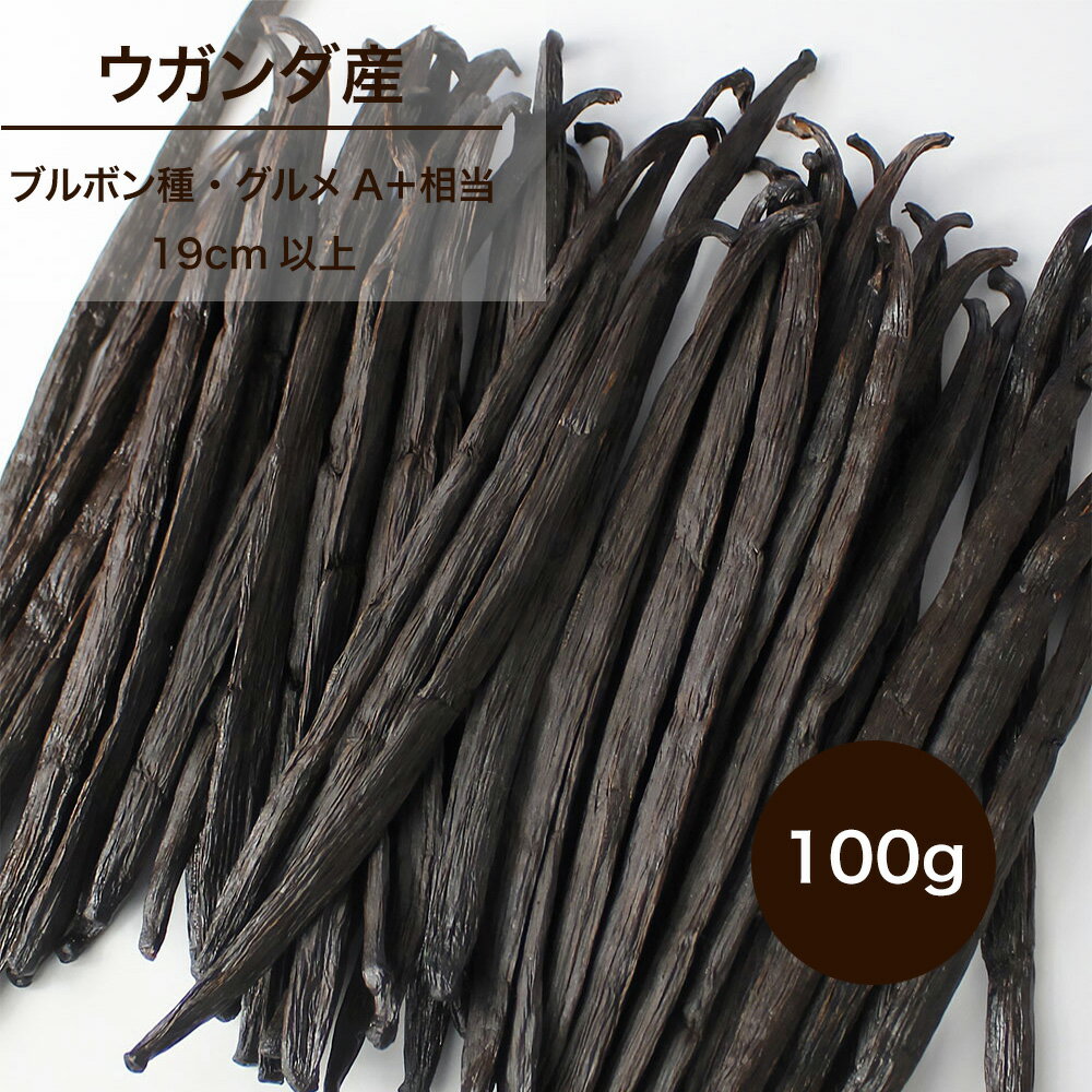 Rakuten - バニラビーンズ 100g （ウガンダ産 ブルボン種） グルメA＋相当 製菓用 業務用 無農薬