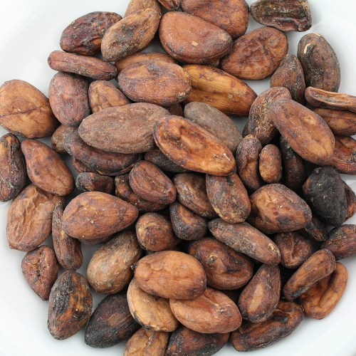 カカオ豆500g