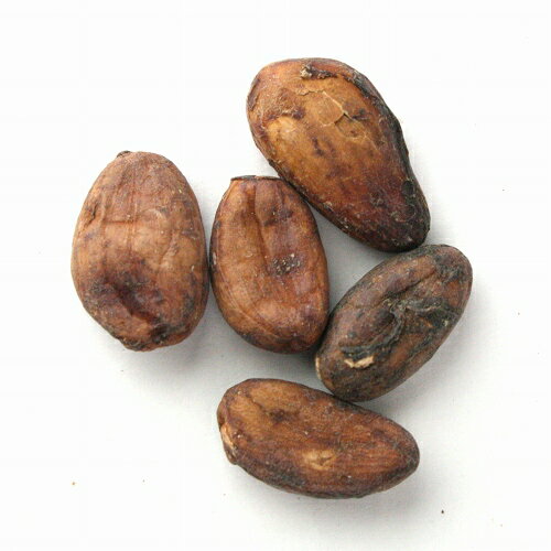 カカオ豆500g