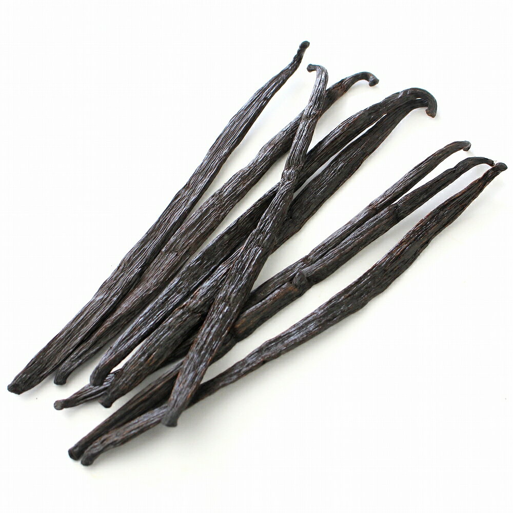 ������� �֥�ܥ�Х˥�ӡ��� Lake Victoria 1��