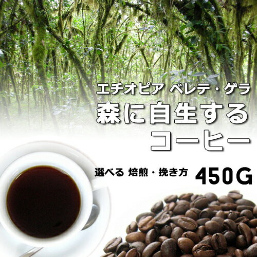 【焙煎 豆/粉 450g】ベレテ・ゲラの森に自生するコーヒー