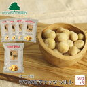 【50gx5個セット】Out of Africa マカダミアナッツ ソルト ケニアナッツカンパニー ケニア産 栄養豊富 お菓子 おやつ おつまみ お子様にも お土産 まとめ買い