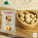 Out of Africa マカダミアナッツ ソルト 50g ケニアナッツカンパニー ケニア産 栄養豊富 お菓子 おやつ おつまみ お土産 お子様にも