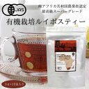 【3g×15包入 ティーバッグ】オーガニック ルイボスティー ノンカフェイン スーパーグレード