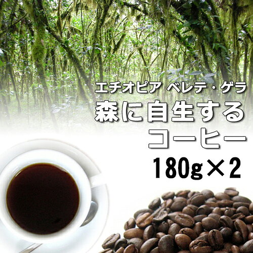 Rakuten - 【焙煎 豆/粉 180gx2袋】ベレテ・ゲラの森に自生するコーヒー