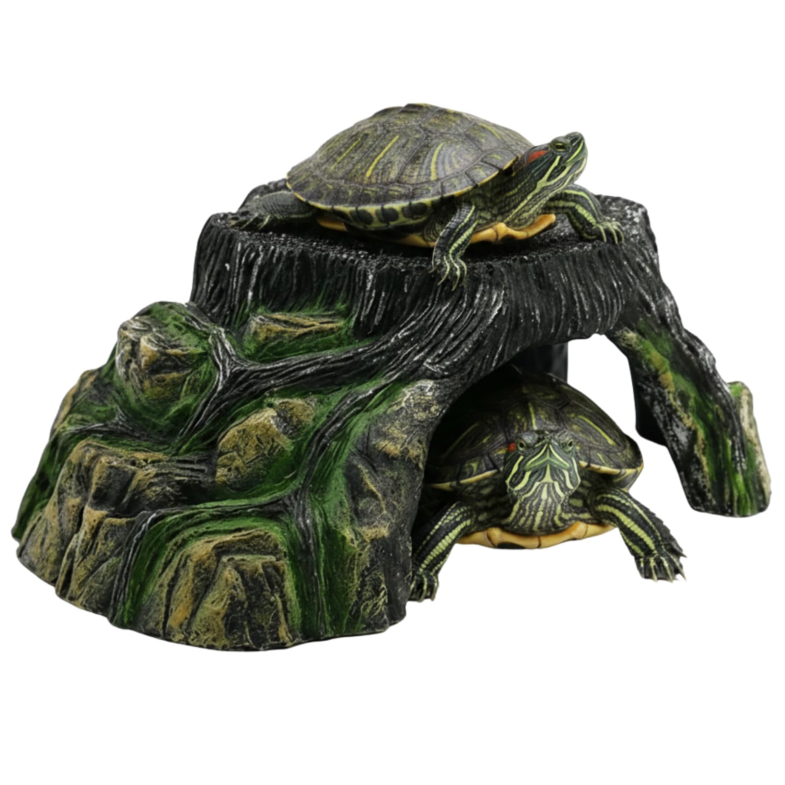 亀 爬虫類 シェルター 隠れ家 水槽 カメ