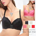 育乳フロントホックブラジャー バストアップ 育乳 ブラジャー フロントホック 垂れ胸 盛りブラ