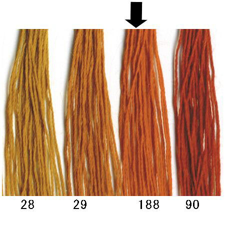 ���󥰥쥶���ߥ���塡FK902-188 30�֡�200m��