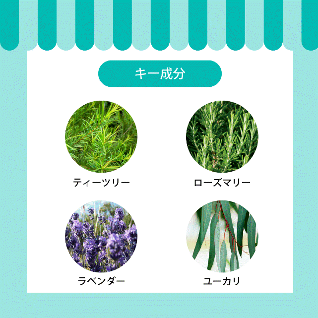 APDC ���롼�ߥ󥰥��ץ졼 ���롼�ߥ� �������� �֥�å��� A.P.D.C. �ڥå��� ���� �� ���� ������ �ڥå� �ڥåȥ��å� �ڥå����� AFRESHFEELING ���ե�å���ե������ ���롼�ߥ󥰥��ץ졼 �ȥꥬ�������� 250ml