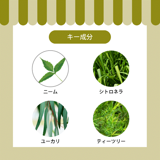 APDC �ˡ�������ȥ��ͥ饹�ץ졼 ���� 125ml �ˡ�������ȥ��ͥ饹�ץ졼 ��褱 ��������褱 ��ʪ��ʬ ������� A.P.D.C. �ڥå��� ���� �� ���� ������ �ڥå� �ڥåȥ��å� �ڥå����� AFRESHFEELING ���ե�å���ե������