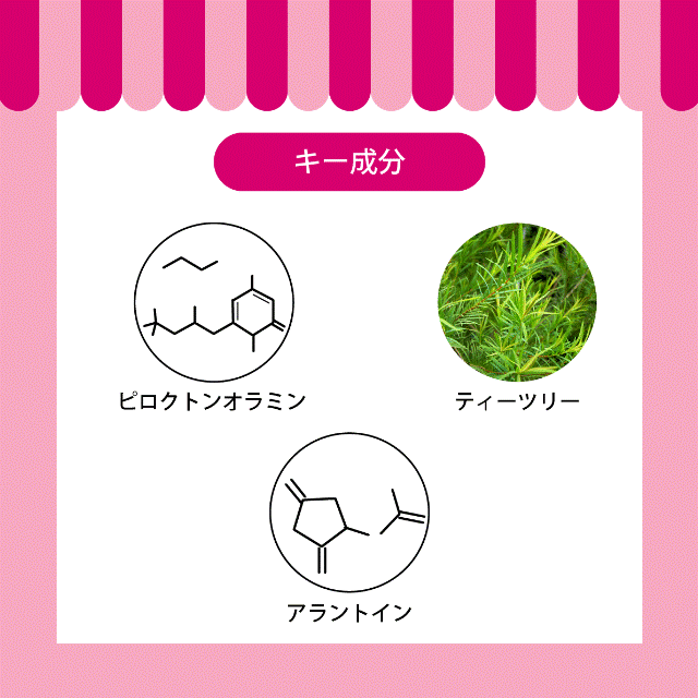 APDC ウォーターレスシャンプー 犬用 詰替用500ml シャンプー ペット用シャンプー ...