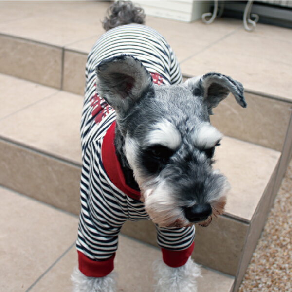 ペットウェア ドッグウェア 犬服 犬の服 小型犬 犬用 犬 かわいい おしゃれ ロンパース 防寒着 ルームウェア AFRESHFEELING アフレッシュフィーリング ラッキーシール対応 スリムボーダーロンパース Lサイズ