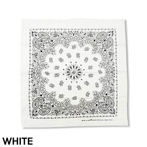 PAISLEY PATTERN Х BANDANA (B)