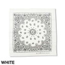 PAISLEY PATTERN バンダナ BANDANA (B)