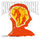 NUMBERNINE / LIVINfGROOVE