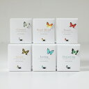 紅茶 (1000円程度) HANASAKA BUTTERFLY TEA／[Assam/Loving/Darjeeling/Royal Blend/Caramel/Assort][アッサム ダージリン フレーバーティー 蝶 バタフライティー お茶 紅茶 ティーバック プレゼント プチギフト お返し 手土産 御礼 母の日 父の日 お返し]