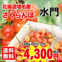 【26%OFF!!】【送料無料】北海道増毛町千果園産さくらん...