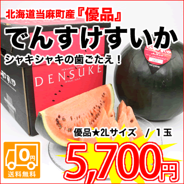 見た目は真っ黒・・・でも中は真っ赤！当麻町自慢の名産でんすけすいかを全国へお届け！【送料無料】当麻町産★自慢の名産『でんすけすいか(良）』6〜8kg/1玉※でんすけすいかのお届けは7月下旬〜8月中旬頃の予定