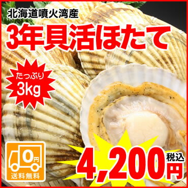 【送料無料】超大粒★貴重★甘くてトロける噴火湾産活ホタテを届けいたします！北海道噴火湾産活ホタテ（3年貝）3kg入　※第1回目・第2回目のお届け