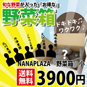 【送料無料】時期によって内容商品が異なる比布町『野菜箱』小