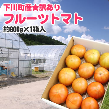 【規格外品】大人気！北海道下川町谷組産訳ありフルーツトマト（おかわり君）【無選別・サイズ不揃い】 約900g入※7月上旬以降収穫後のお届けとなります。【smtb-TK】