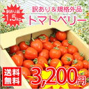 【送料無料】【規格外品】今話題のミニトマト★北海道名寄産訳ありトマトベリー【サイズ不揃い】 約1.5 ...