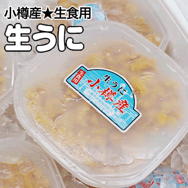 北海道小樽産★生うに「ムラサキウニ」100g×1のサムネイル