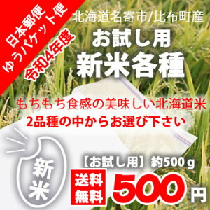 【お試し用】【ゆうパケット】令和4年★北海道産新米「ゆめぴりか」「ななつぼし」/約500g