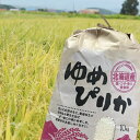 【送料無料】令和5年度産★北海道比布町産ゆめぴりか精米/10kg