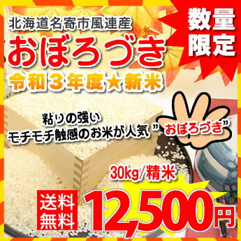 送料無料】北海道名寄市風連産★令和元年度　おぼろづき/精米30kg