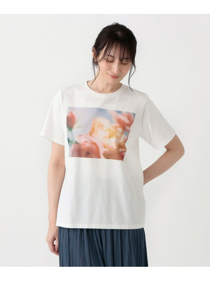 フォトTシャツ/FLOWER1 Afternoon Tea LIVING アフタヌーンティー・リビング トップス カットソー・Tシャツ ホワイト【送料無料】[Rakuten Fashion]