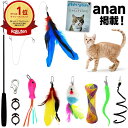 【楽天1位】【anan掲載】 猫じゃらし 14点 セット 天然 羽 竿 付 ねこじゃらし 猫のおもちゃ じゃれ猫 おもちゃ 付き ネコ 猫 ねこ 子猫 子ねこ こねこ じゃらし ねこのおもちゃ 猫グッズ cat toys 猫じゃらしセット 猫用おもちゃ 猫おもちゃ 2022