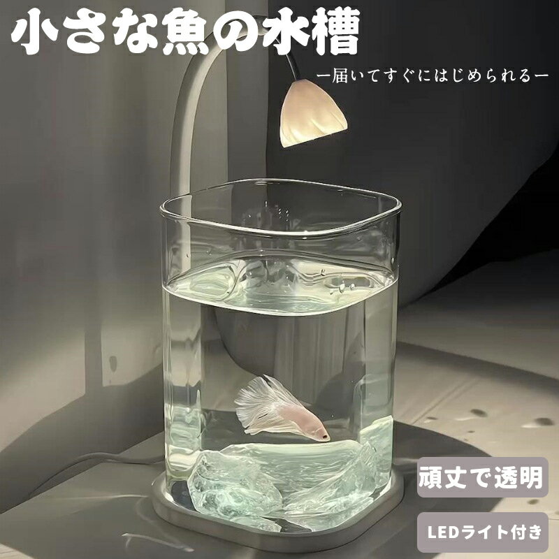 水槽セット 金魚鉢 金魚 飼育 アクアリウム 容器 透明 熱帯魚 メダカ 家庭用金魚鉢 おしゃれ 水族館 インテリア 透明ガラスボトル 室内アイテム 装飾的な 家庭 応接室 営業所 小型水槽 癒し水景 LEDライト付 初心者にやさしい 卓上小型水槽