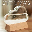ストームグラス クラウド 気象計 ガラス 雑貨 天気 おしゃれ サイエンス 科学 結晶 ディスプレイ小物 オブジェ 置き物 インテリア 雑貨 気象予測 シンプル 美しい ピンク グリーン パープル ホワイト ブルー プレゼント ギフト 贈り物 送料無料(3)