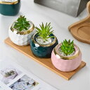 デスクトップ フラワースタンド 木製 多肉植物 スタンド 小さい花台 室内 鉢植えフラワースタンド フラワーポットスタンド 屋内 園芸ラック ジャグスタンド 観...