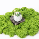 フェイクモス 人工植物 150g 人工苔 模擬苔 装飾用 苔 コケ モス フェイクグリーン 建築モデル 装飾苔 人工 苔玉装飾 緑化モデル ガーデン装飾 庭園 ...