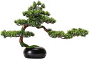 人工盆栽 盆景 人工観葉植物 盆栽 フェイク シミュレーションパイン盆栽 人工植物 盆栽植木鉢 セラミックベース フェイクツリー リビングルーム オフィス デス...
