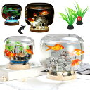 金魚鉢 ガラス 小さい 金魚水槽 丸型 メダカ 鉢 透明 ベタ水槽 小型 テーブル アクアリウム 大容量 おしゃれ インテリア メダカ 容器 屋内植物 水耕栽培...