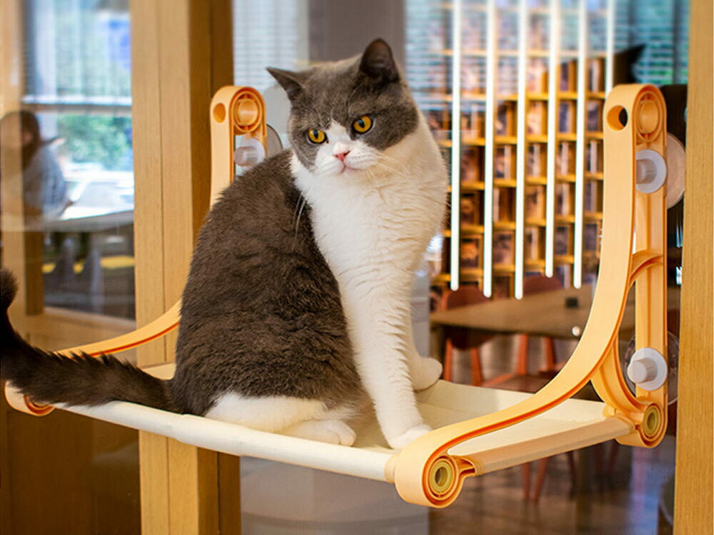 Rakuten - 猫 ハンモック 窓 猫 ベッド 猫窓ベッド 吸盤式 耐荷重20kg 取り付け簡単 強力な吸盤 窓掛け 窓ハンモック 吊りベッド 日光浴 ネコ用 猫 キャット ねこ 室内用 睡眠 運動 休憩 吸盤式 ペット 四季兼用