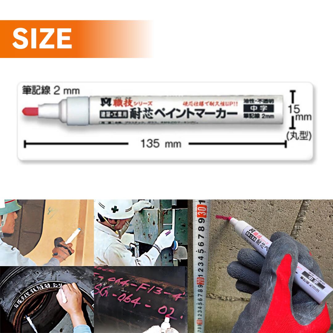 �ڥ���ȥޡ����� ���� ��� �Ŀ� ��10������ S23028 ����Ʋ