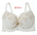 送料無料!!【Narue】ルミナスHcup-Icup(4)