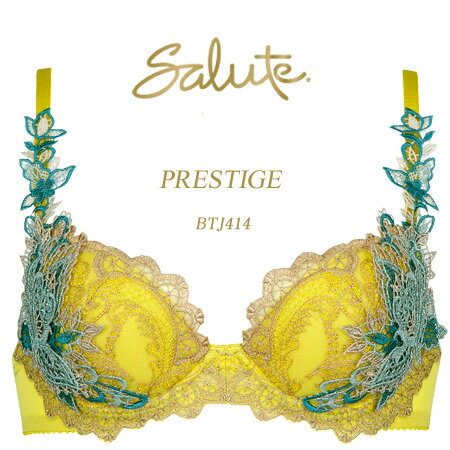 32%OFF&送料無料！！【ワコール　サルート】14グループプッシュアップブラジャー　D・E・Fカップのサムネイル