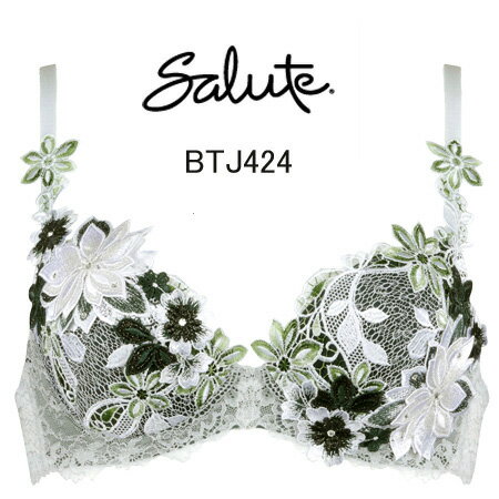 32%OFF&送料無料！！【ワコール　サルート】24グループプッシュアップブラジャー　D・E・Fカップのサムネイル