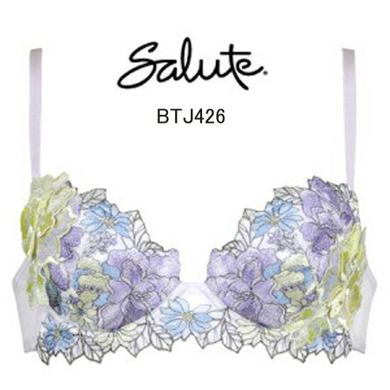 35%OFF！【ワコール　サルート】26グループプッシュアップブラジャー　D・E・Fカップのサムネイル