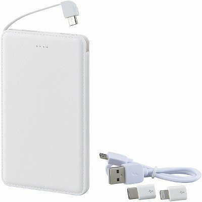 モバイルバッテリー5000mAh（iPhone・USB Type-C用アダプター付） 6189-23 ※のし・包装不可