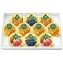送料無料 送料込 マンゴープリン&フルーツゼリーギフト MFR-10 内祝い お返し ギフトセット 出産内祝い 結婚内祝い 入学内祝い お中元 暑中見舞い お供え 御供 初盆志 香典返し 粗供養 快気祝い 快気内祝い