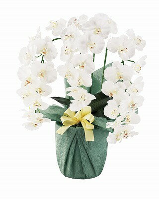 送料無料 送料込 SC触媒加工 プラチナ胡蝶蘭（アーティフィシャルフラワー） ホワイトイエロー HCA2-WY-23 ●のし・包装不可